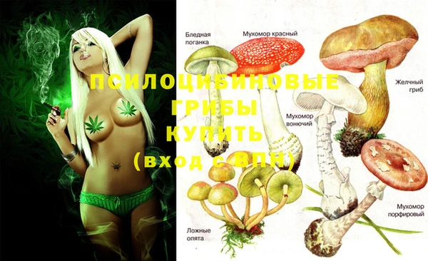 трава Верхнеуральск