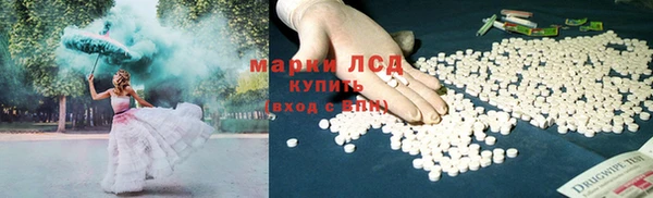 дмт Верея